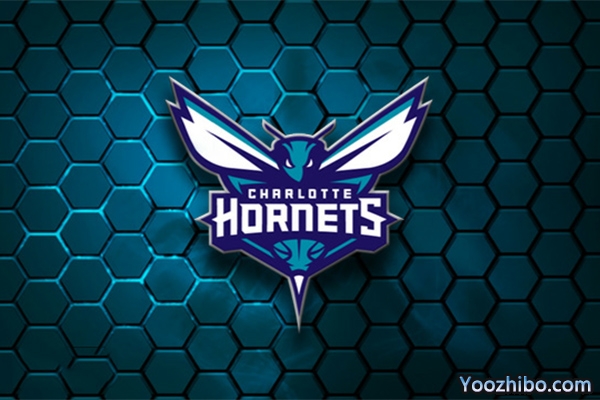 2019-2020赛季黄蜂队球员名单阵容一览
